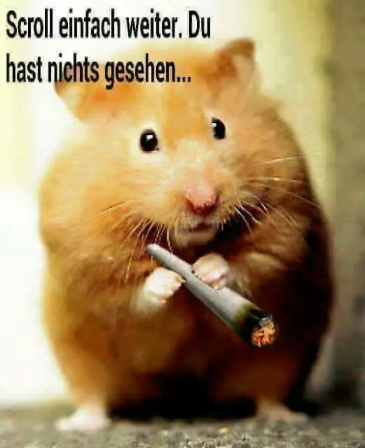 Scroll weiter, du hast nichts gesehen!